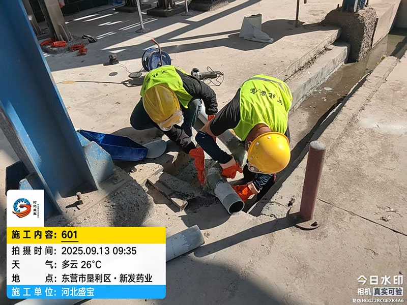 东营市垦利区·新发药业 东营市垦利区·新发药业